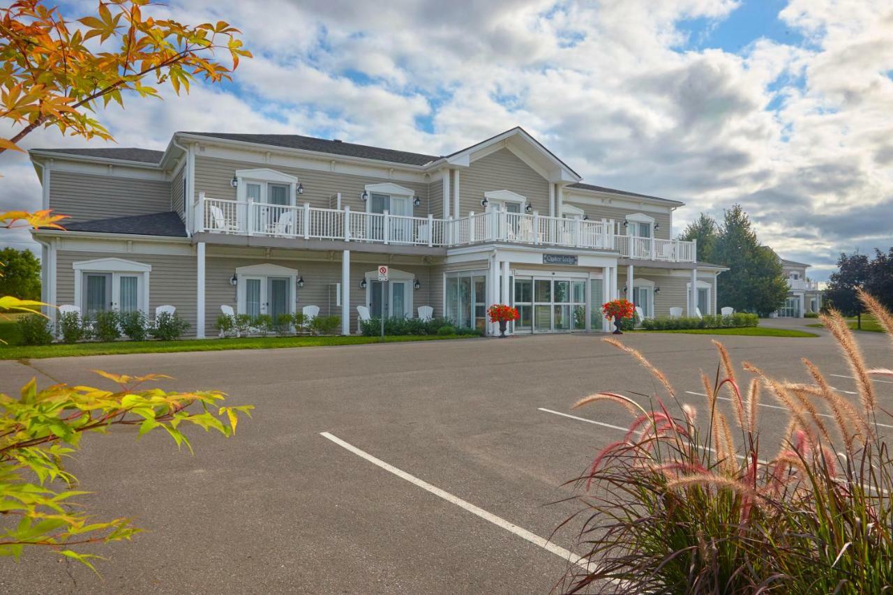 The Waring House Hotel Picton Bagian luar foto